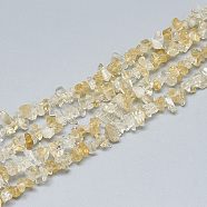 Natural Citrine Beads Strands, Chip, Dyed & Heated, 3~11x3~5x1~4mm, Hole: 1mm, about 380~400pcs/strand, 33 inch(G-S315-36)