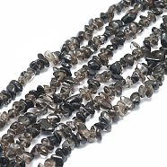 Natural Ice Obsidian Beads Strands, Chip, 5~13x4~8mm, Hole: 0.8mm, 15.55''(39.5cm)(G-D466-01)