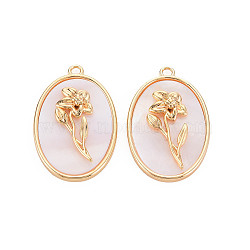 Brass Birth Floral Pendants, Oval with Flower Mother of Pearl White Shell Charms, Nickel Free, Real 18K Gold Plated, March Daffodil, 27x18x4mm, Hole: 1.8mm(KK-S364-293)