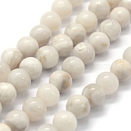 Natural White Crazy Agate Beads Strands, Round, 6mm, Hole: 0.8mm, about 62pcs/strand, 15.3 inch(39cm)(G-G763-11-6mm)
