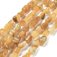 Natural Gemstone Beads Strands, Nuggets, Tumbled Stone, 7~13x4.5~10x4.5~10mm, Hole: 1.2mm, about 44~46pcs/strand, 15.08~16.14 inch(38.3~41cm)(G-P497-01E-14)