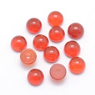 Natural Carnelian Cabochons, Half Round, 6x3~3.5mm(G-P393-R03-6mm)