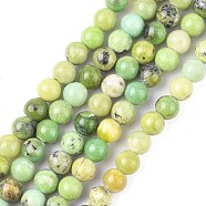 Natural Serpentine Beads Strands, Round, Green, 6mm, Hole: 1mm, about 63pcs/strand, 15.5 inch(X-G-N166-6)