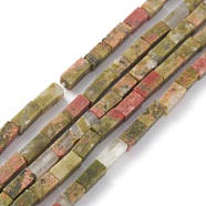 Natural Unakite Beads Strands, Cuboid, 3.5~6x2.2x2.2mm, Hole: 0.9mm, about 79~83pcs/strand, 15.04~15.24 inch(38.2~38.7cm)(G-C301-16)