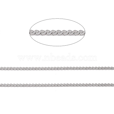 304 Stainless Steel Serpentine Chain(CHS-E009-01P)-2