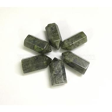 Natural Labradorite laPointed Beads(G-G760-K18)-2