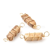 Natural Picture Jasper Connector Charms, with Golden Tone Copper Wire Wrapped, Cuboid, 22~23.5x6~7x5.5~6mm, Hole: 2.5~3.2mm(PALLOY-JF01580-04)