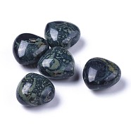 Natural Kambaba Jasper Heart Love Stone, Pocket Palm Stone for Reiki Balancing, 20x20x13~13.5mm(G-F659-B20)