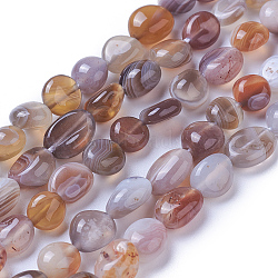 Natural Botswana Agate Beads Strands, Tumbled Stone, Nuggets, 7~11x7~8mm, Hole: 1mm, about 47~48pcs/strand, 15.94 inch(40.5cm)(X-G-P433-20)