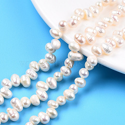 Natural Cultured Freshwater Pearl Beads Strands, Oval, Seashell Color, 7~8.5x5~6.5mm, Hole: 0.7mm, about 68~71pcs/strand, 14.17 inch~14.29 inch(36~36.3cm)(PEAR-N013-05F)