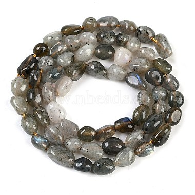 Natural Labradorite Beads Strands(G-P497-01B-03)-3