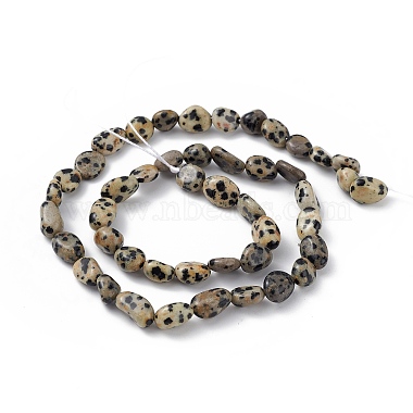 dalmatien naturelle perles de jaspe brins(X-G-B039-03A)-2