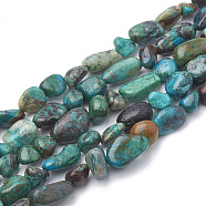 Natural Chrysocolla Beads Strands, Nuggets, 2~19x3~8x2~7mm, Hole: 1mm, about 50~55pcs/strand, 15.55 inch(X-G-S339-12)