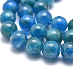 Natural Apatite Beads Strands, Round, 8~8.5mm, Hole: 0.6mm, about 49pcs/Strand, 15.35 inch(39cm)(G-O186-E02-8mm)