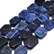 Natural Sodalite Beads Strands, Rectangle, 15~17x10~13x5~7mm, Hole: 1mm, about 22pcs/strand, 15.94 inch(40.5cm)(G-K245-J15-01)