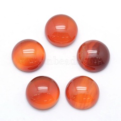 Natural Carnelian Cabochons, Half Round, 12x5~6mm(X-G-P393-R41-12mm)