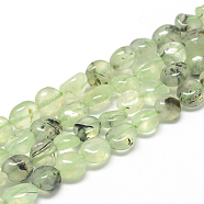 Natural Prehnite Beads Strands, Oval, 8~15x7~12x4~12mm, Hole: 1mm, about 30~45pcs/strand, 15.7(X-G-R445-8x10-25)