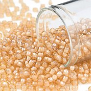 TOHO Round Seed Beads, Japanese Seed Beads, (391) Snowflake Lined Peach Luster, 8/0, 3mm, Hole: 1mm, about 222pcs/bottle, 10g/bottle(SEED-JPTR08-0391)