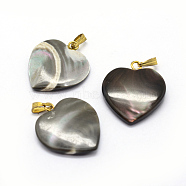 Shell Pendants, with Brass Findings, Heart, Dyed, Golden, 21~22x20~22x3~5mm, Hole: 2x5mm(SSHEL-E564-23B-G)
