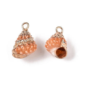 Natural Sea Shell Pendants, Shell Shaped Charms with Golden Tone Iron Loops, Chocolate, 13.5~15.5x9~10.5x9mm, Hole: 1.8mm