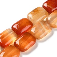 Natural Red Agate Beads Strands, Dyed, Rectangle, 14~15x10~11x5~5.5mm, Hole: 1~1.2mm, about 28pcs/strand, 16.02 inch(40.7cm)(G-K357-D04-01)