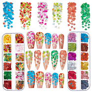 2 Boxs 2 Styles Laser Shining Nail Art Glitter, Manicure Sequins, DIY Sparkly Paillette Tips Nail, Packing Box, Maple Leaf, Mixed Color, 6x6x0.1mm, 1 box/style(MRMJ-OC0003-61)