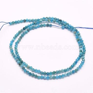 Natural Apatite Beads Strands(G-F509-17-3mm)-2