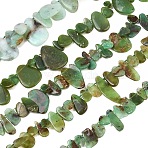 Natural Chrysoprase Beads Strands, Nuggets, Top Drilled, 12~35x6~23x2~5mm, Hole: 0.8~1mm, 15.75~16.14''(40~41cm)(GG-CBA3D9B-14C)