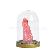Raw Electroplate Natural Quartz Crystal Species Bell Jar Cloches, Crystal Stone Display Decoration, with Glass Cover, 27x41mm(PW-WG54414-01)