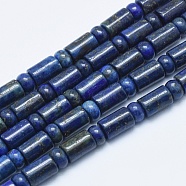 Natural Lapis Lazuli Beads Strands, Dyed, Column, Column: 9x6mm, Flat Round: 6x3.5mm, Hole: 1mm, about 31pcs/strand, 15.94 inch(40.5cm)(G-E444-24)