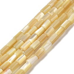 Natural Trochus Shell Beads Strands, Column, 4.5~5x3mm, Hole: 0.8mm, about 81pcs/strand, 15.47''(39.3cm)(SHEL-K006-37)