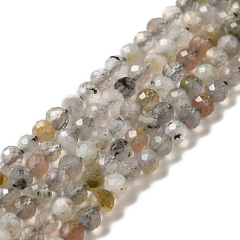 Natural Labradorite Beads Strands, Faceted, Round, 3mm, Hole: 0.6mm, about 125pcs/strand, 15.35''(39cm)