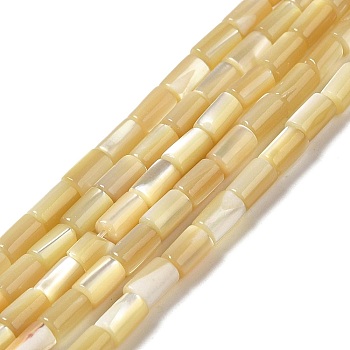 Natural Trochus Shell Beads Strands, Column, 4.5~5x3mm, Hole: 0.8mm, about 81pcs/strand, 15.47''(39.3cm)