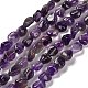 Natural Amethyst Beads Strands(X-G-P497-01E-45)-1