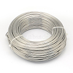 Anodized Aluminum Wire, Bendable Metal Craft Wire, Flexible Craft Wire, for Beading Jewelry Craft Making, Raw, 20 Gauge, 0.8mm, 300m/500g(984.2 Feet/500g)(AW-S001-0.8mm-21)