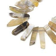 Natural Botswana Agate Beads Strands, Top Drilled Beads, Rectangle, 20~65x7~15x6~10mm, Hole: 2mm, about 30~40pcs/strand, 15.75 inch(40cm)(G-R419-20)