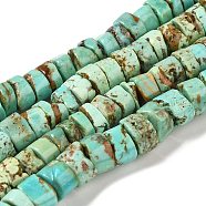 Natural Turquoise Beads Strands, Disc, 8~9x4.5~7.5mm, Hole: 0.8mm, about 71pcs/strand, 15.94''(40.5cm)(G-P506-05A)