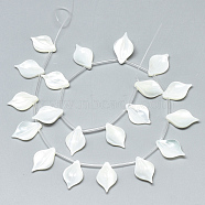 Natural White Shell Mother of Pearl Shell Pendants, Leaf, Creamy White, 16x10x3mm, Hole: 0.7mm(SSHEL-N036-020)