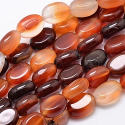 Natural Carnelian Oval Bead Strands, Dyed & Heated, 14x10x6mm, Hole: 1mm, about 29pcs/strand, 15.74 inch(G-L290-02)