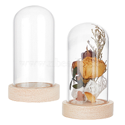 Glass Dome Cover, Decorative Display Case, Cloche Bell Jar Terrarium with Wood Base, for DIY Preserved Flower Gift, Clear, 62x108mm(DJEW-WH0034-54A)