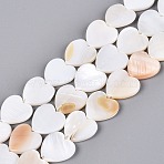 Natural Freshwater Shell Beads Strands, Heart, Seashell Color, 12.5x13x3mm, Hole: 1mm, about 30pcs/strand, 13.78 inch(35cm)(SHEL-S276-87)