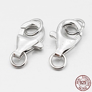 Rhodium Plated 925 Sterling Silver Lobster Claw Clasps, Platinum, 13x8x3mm, Hole: 4mm(STER-O015-E-04)