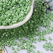 Baking Paint Glass Seed Beads, Cylinder, Light Green, 2.5x2mm, Hole: 1.4mm, about 45359pcs/pound(SEED-S042-15A-08)