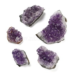 Nuggets Natural Amethyst Geode Crystal Cluster, for Feng Shui Home Ornaments, 46~77x28~45x22~30mm, about 7pcs/500g(G-G128-02)