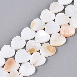 Natural Freshwater Shell Beads Strands, Heart, Seashell Color, 12.5x13x3mm, Hole: 1mm, about 30pcs/strand, 13.78 inch(35cm)(SHEL-S276-87)