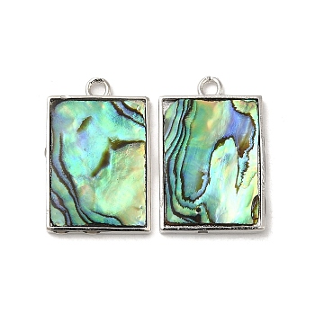 Natural Paua Shell Pendants, Rectangle Charms with Brass Findings, Platinum, 23.5x15x2mm, Hole: 2mm