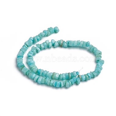 coquille brins de perles(X-BSHE-G026-02A)-2