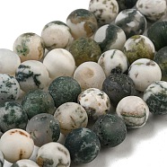 Natural Tree Agate Frosted Agate Round Gemstone Beads Strands, 8mm, Hole: 1mm, about 47pcs/strand, 15 inch(X-G-O151-01-8mm)