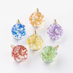 Round Alloy Glass Pendants, Cadmium Free & Lead Free, with Dried Flower Inside, Light Gold, 20~21x15mm, Hole: 1.5mm(GLAA-Q051-15mm-06KC)