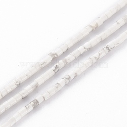 Natural Howlite Beads Strands, Column, 2x2mm, Hole: 0.8mm, about 154~160pcs/strand, 15.16~15.75 inch(38.5~40cm)(G-H255-03)